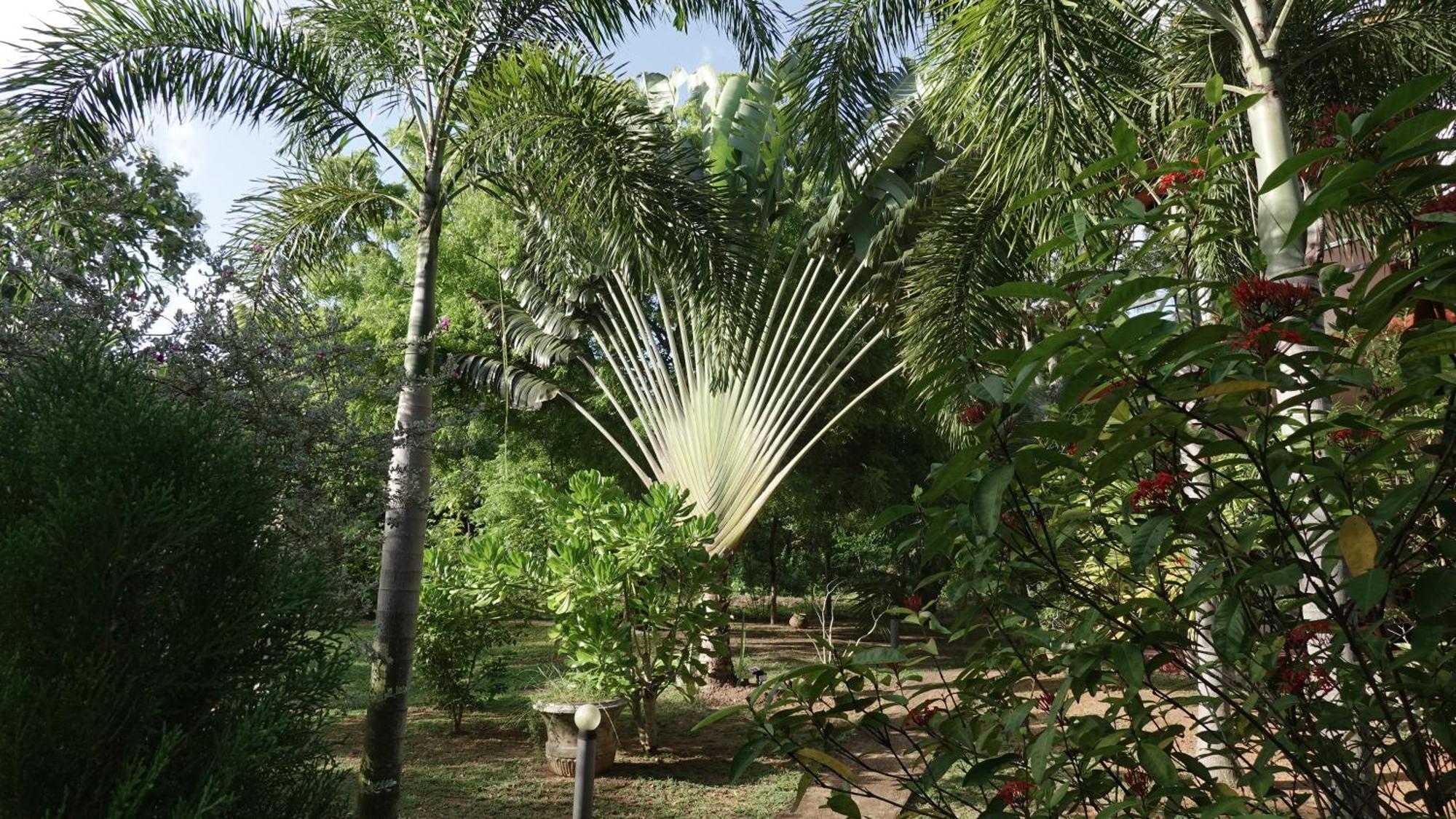 Salt Lake Cabanas & Restaurant Tangalle Luaran gambar
