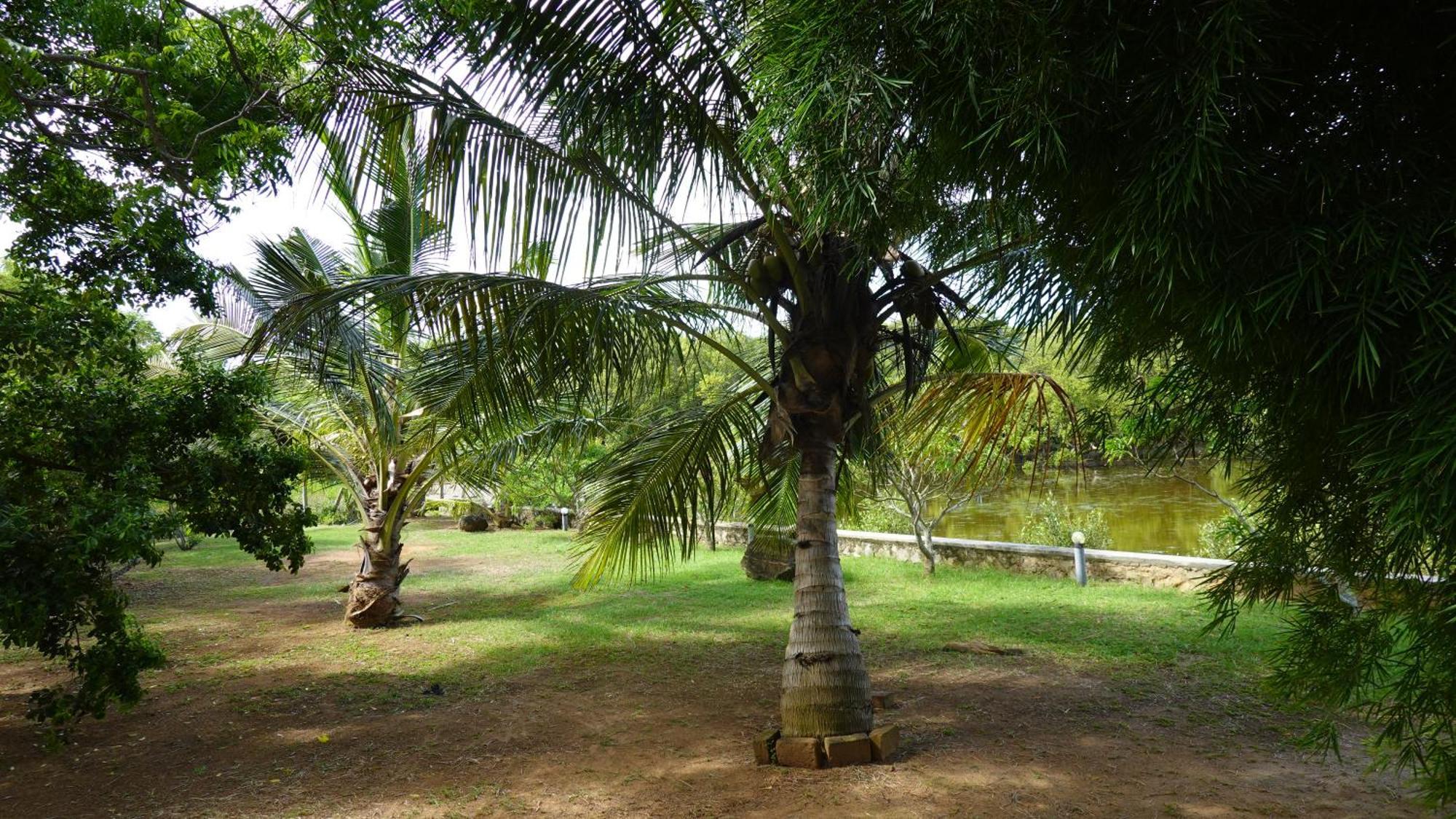 Salt Lake Cabanas & Restaurant Tangalle Luaran gambar